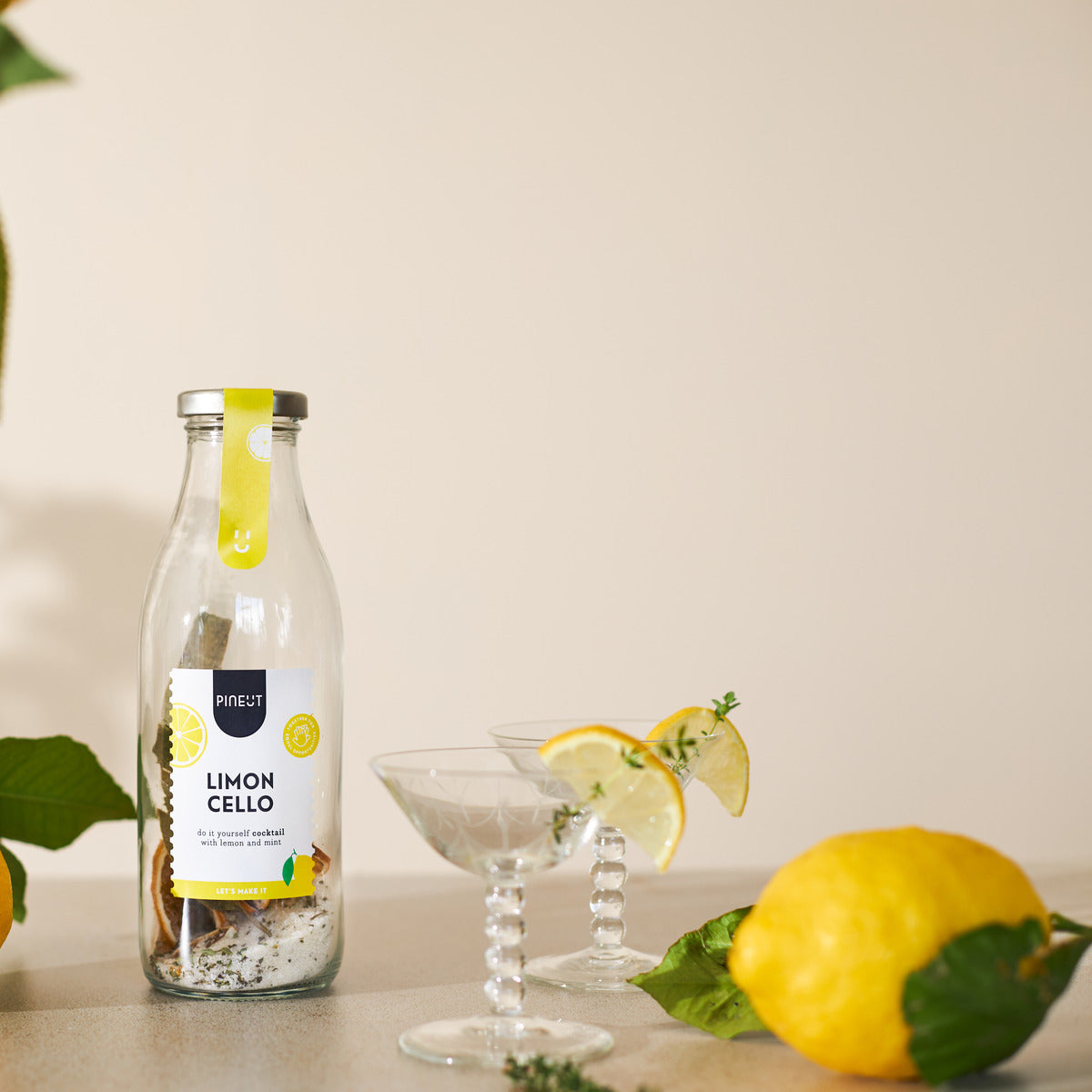 Limoncello selber machen | DIY-Cocktail in der Flasche | Bio | Pinienkerne