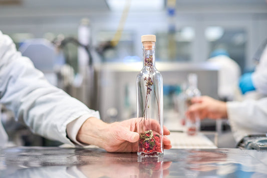 Het Pineut Productiehuis