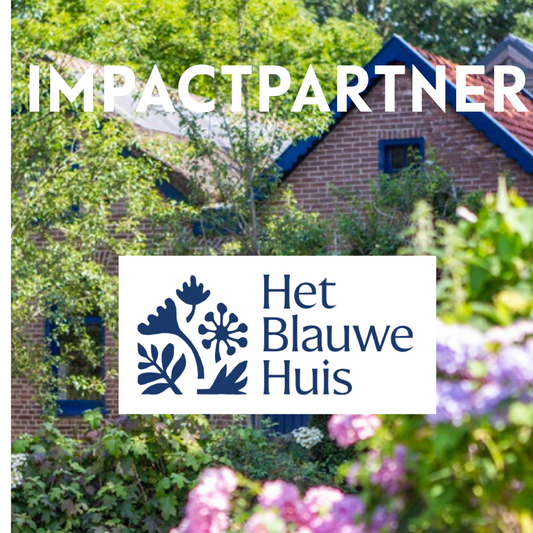Impactpartner: Het Blauwe Huis