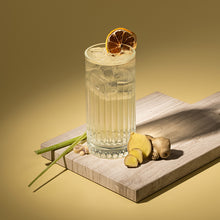 Botanicals Zitronen-Gin | 350ml
