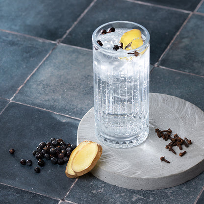 Botanicals Gin Flavor Collection Pack