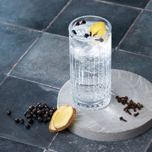 Botanicals Gewürz-Gin | 350ml