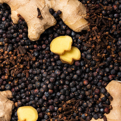 Botanicals Gin Flavor Collection Pack