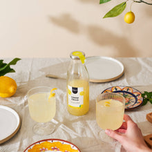 Limoncello selber machen | DIY-Cocktail in der Flasche | Bio | Pinienkerne
