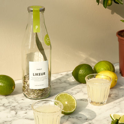 Limettenlikör | Karaffe | Bereit für einen Kuss