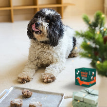 Woofbake Pupcake Giftpack | Verpackt zu 10 Stück