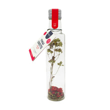 Vinaigrette | Flasche | Himbeere, Granatapfel & Minze