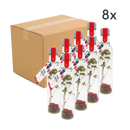 Vinaigrette | Flasche | Himbeere, Granatapfel & Minze