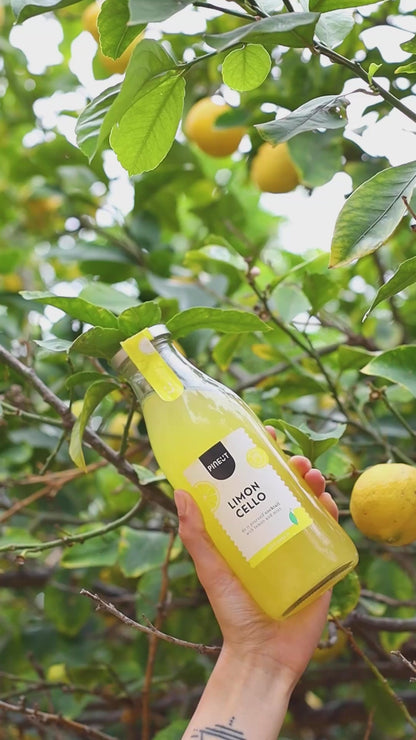Limoncello selber machen | DIY-Cocktail in der Flasche | Bio | Pinienkerne