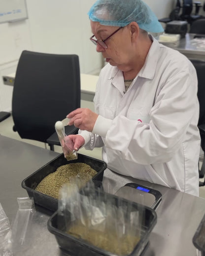 Risotto To Be | Austernpilzmischung mit Kräutern | No Waste Army x Pineut