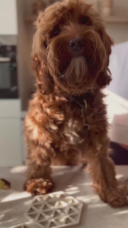 WoofBake | Pupcake Bio